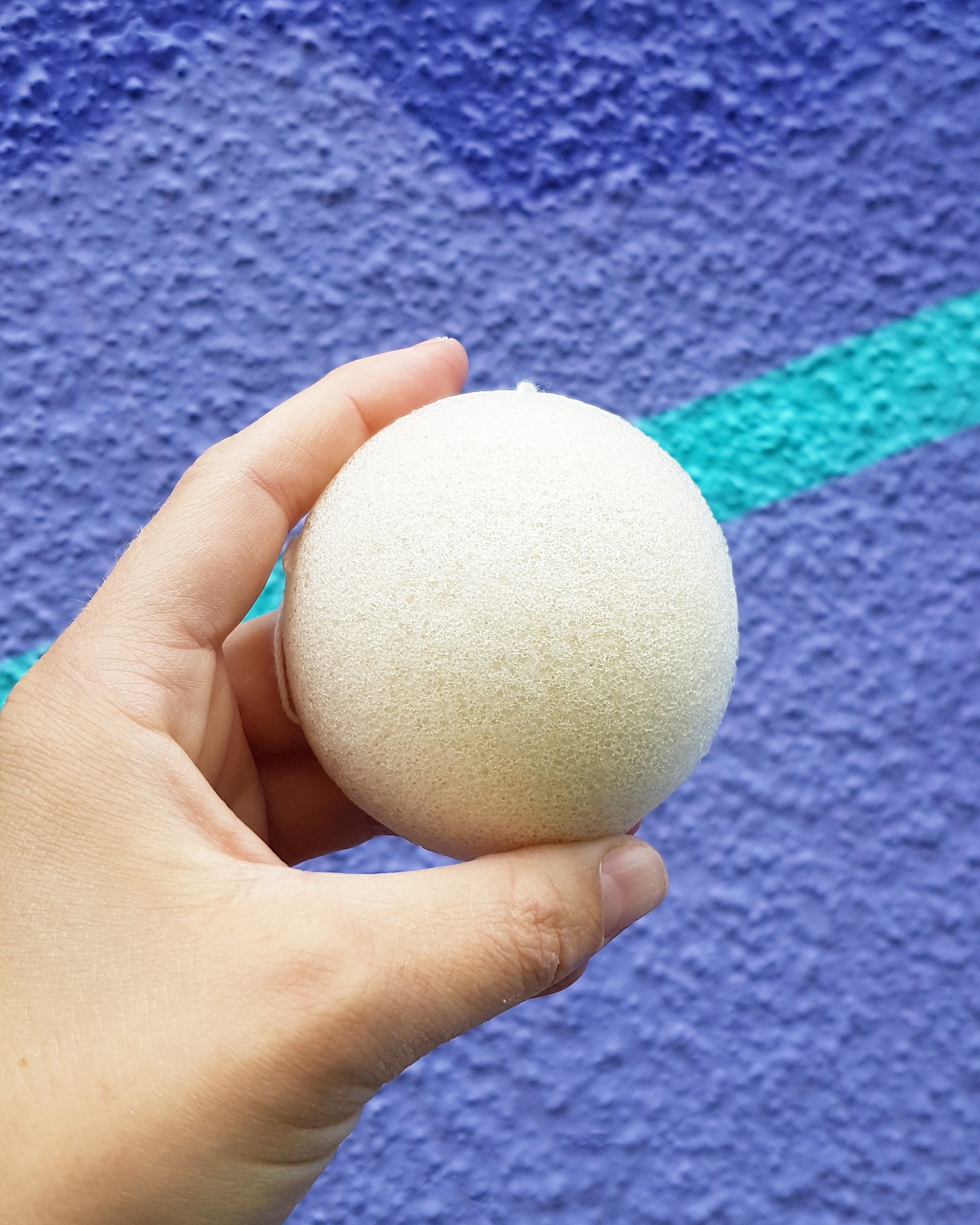 Konjac Sponge