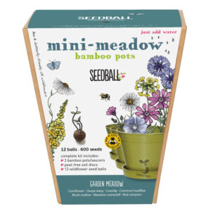 Seedball Mini Meadow