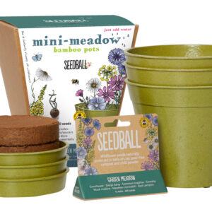 Mini-Meadow Bamboo Pots – Butterfly Mix